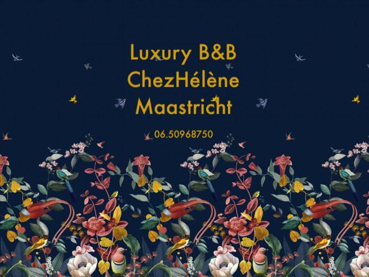 Chez Helene Luxury Bnb Maastricht Dış mekan fotoğraf
